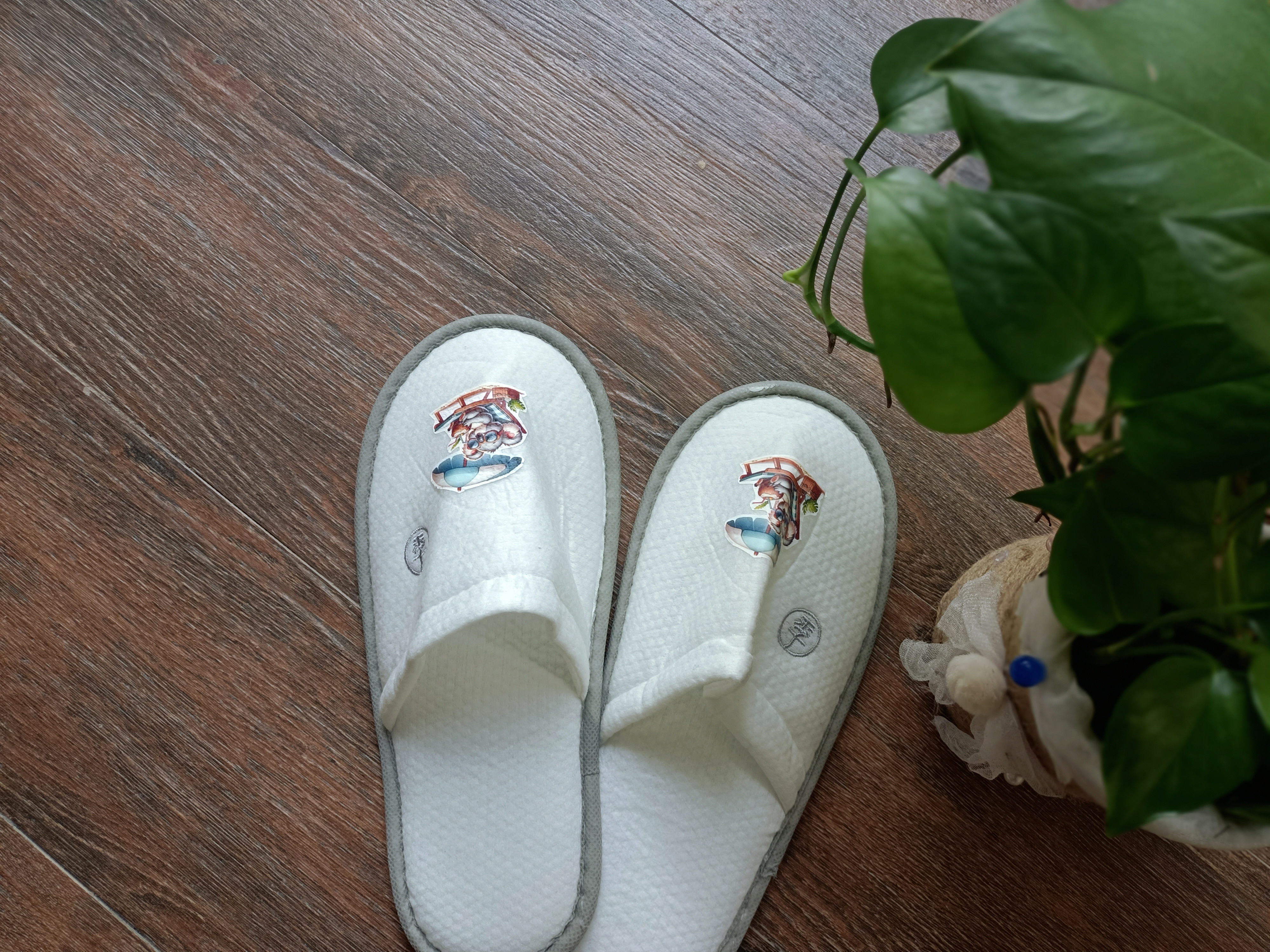 无纺布鞋