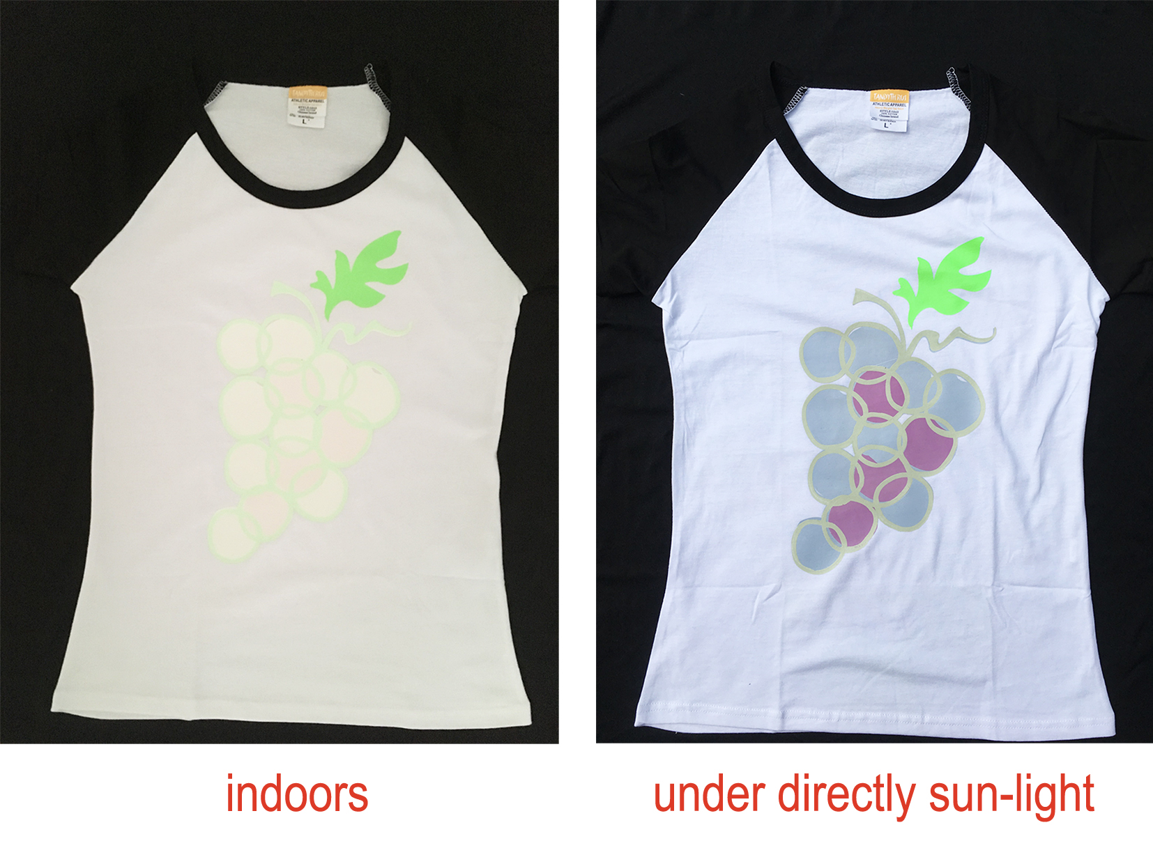 Sun-Light-PM905R-808